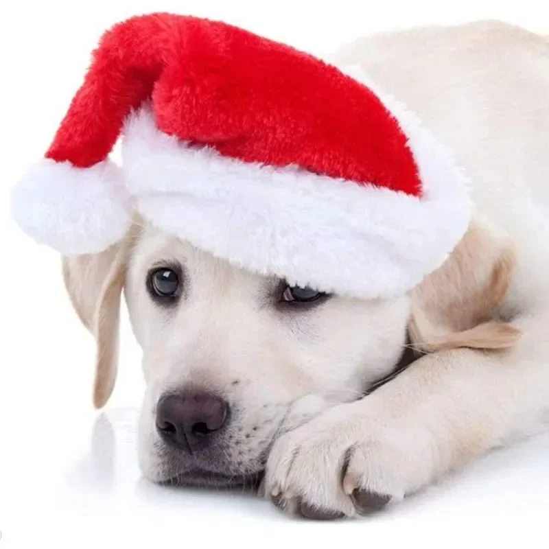 크리스마스 애완동물 산타 모자 빨간색 플러시 부드러운  - Santa Hat Plush 리뷰 및 가격