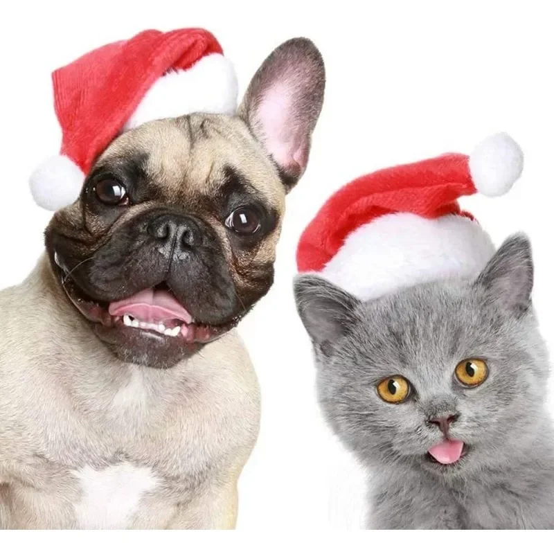 크리스마스 애완동물 산타 모자 빨간색 플러시 부드러운  - Santa Hat Plush 리뷰 및 가격